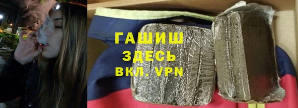 сатива Беломорск