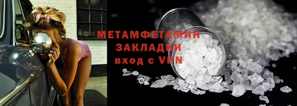 сатива Беломорск