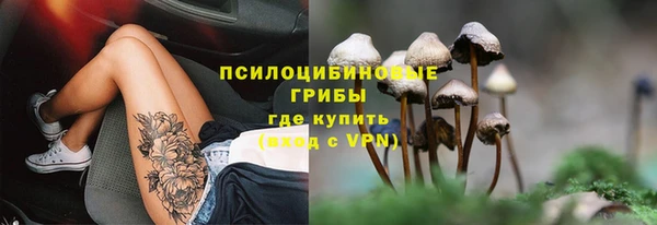 марки nbome Белокуриха