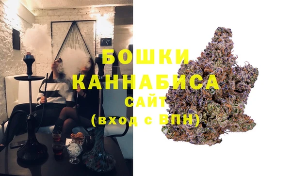сатива Беломорск