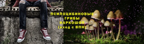 марки nbome Белокуриха