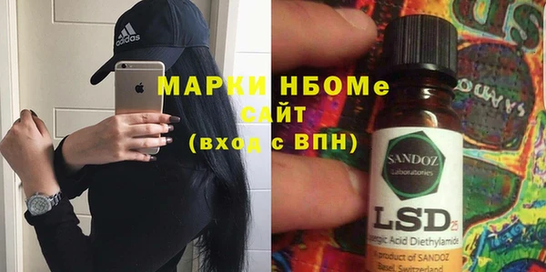 сатива Беломорск