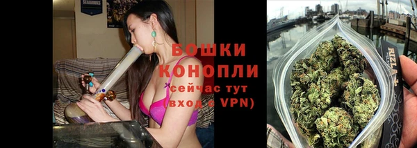 сатива Беломорск